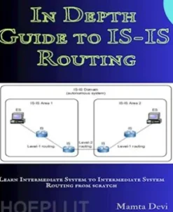 In Depth Guide to IS-IS Routing