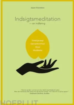 Indsigtsmeditation