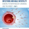 Infections and Male Infertility: General Pathophysiology, Diagnosis, and Treatment