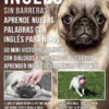 Inglés sin barreras - Aprende nuevas palabras en Inglés con Inglés para niños