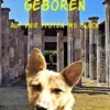 In Ruinen geboren
