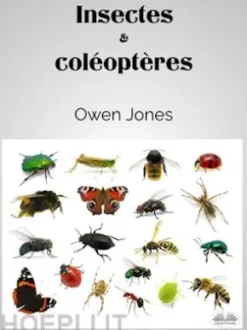 Insectes Et Coléoptères