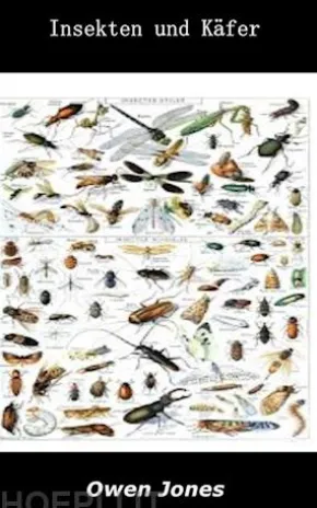 Insekten Und Käfer