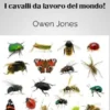 Insetti E Coleotteri