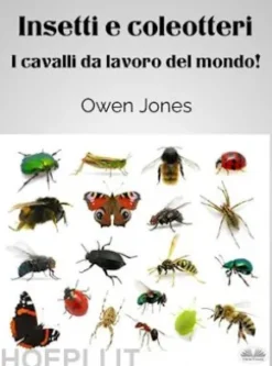 Insetti E Coleotteri