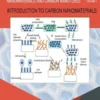 Introduction to Carbon Nanomaterials