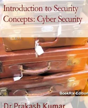 Introduction to Security Concepts: Cyber Security