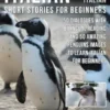 Italian Short Stories for Beginners - English Italian