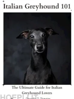 Italian Greyhound 101