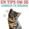 It Fokken fan Húskatten en Tips om se Lokkich te Hâlden