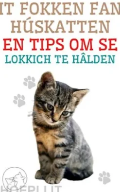 It Fokken fan Húskatten en Tips om se Lokkich te Hâlden