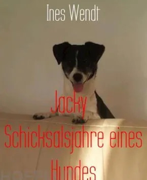 Jacky Schicksalsjahre eines Hundes
