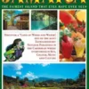 Jamaica. The fairest island that eyes have ever seen