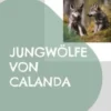 Jungwölfe von Calanda