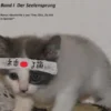 Kami Katze