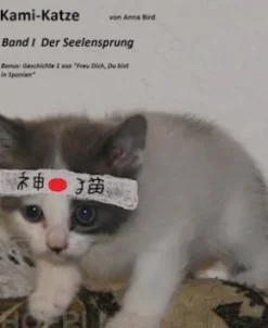 Kami Katze