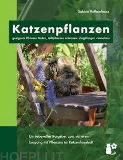 Katzenpflanzen