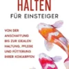 Koi Karpfen halten für Einsteiger