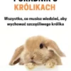 Kompletny poradnik o królikach