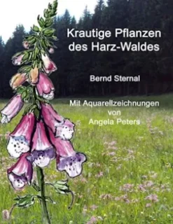 Krautige Pflanzen des Harz-Waldes