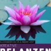 Kreative Pflanzenfotografie