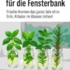 10 Kräuter für die Fensterbank