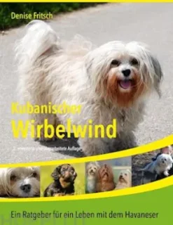 Kubanischer Wirbelwind
