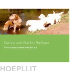 Kuvasz und Golden Retriever