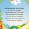 La tartaruga Gelsomina