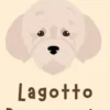 Lagotto Romagnolo