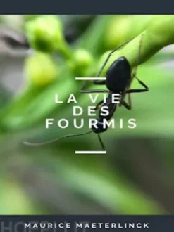 La Vie des Fourmis