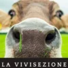 La vivisezione