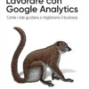 Lavorare con Google Analytics