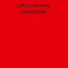 Lektor Jensens optegnelser
