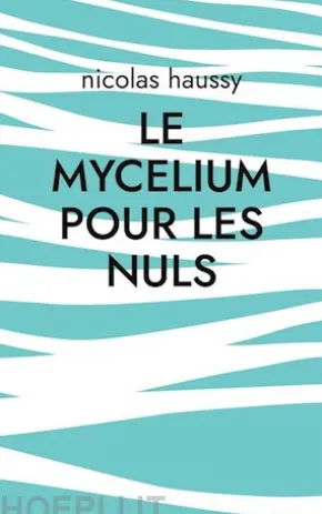 Le mycelium pour les nuls