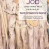 Leçons morales tirées du livre de Job - Tome 7
