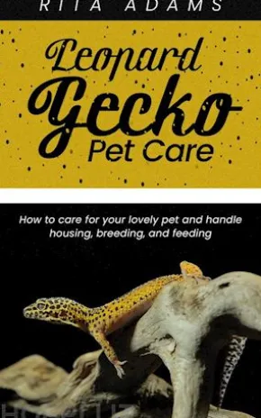 Leopard Gecko Pet Care