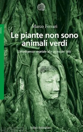 Le piante non sono animali verdi