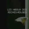 Les hiboux des Roches-Rouges