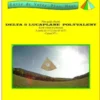 Les carnets de construction et vol du cerf-volant