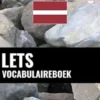 Lets vocabulaireboek