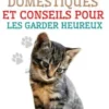 Élevage de Chats Domestiques et Conseils Pour les Garder Heureux