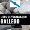 Libro de Vocabulario Gallego
