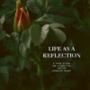 Life as a Reflection
