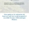 Linee guida per la valutazione del benessere nelle aree rurali marginali: il caso della Toscana e della montagna Pistoiese
