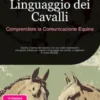 Linguaggio dei Cavalli: Comprendere la Comunicazione Equina