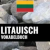 Litauisch Vokabelbuch