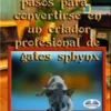 Los Diecisiete Pasos Para Convertirse En Un Criador Profesional De Gatos Sphynx