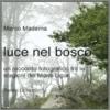 luce nel bosco