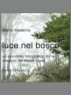 luce nel bosco